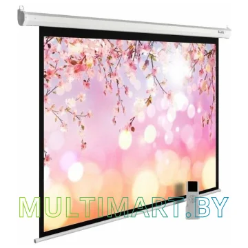 Проекционный экран CACTUS MotoExpert 220x220 (CS-PSME-220x220-WT)